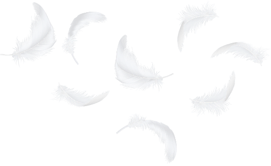 Plumas